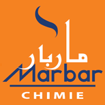 Logo Nom du Partenaire